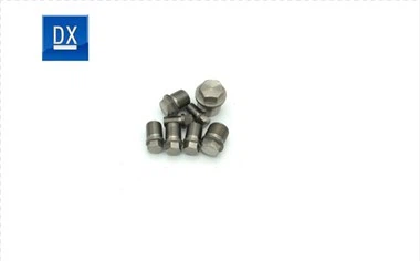 Titanium Ntsia Hlau Plug